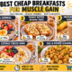 best cheap breakfasts for muscle gain